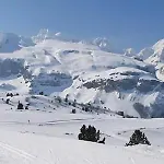 Aizaetxea Appartement